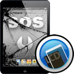 Αλλαγή Οθόνης και Digitizer iPad mini